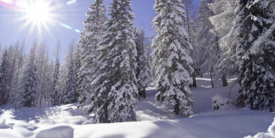Short Ski Adventure Short Ski Adventure
