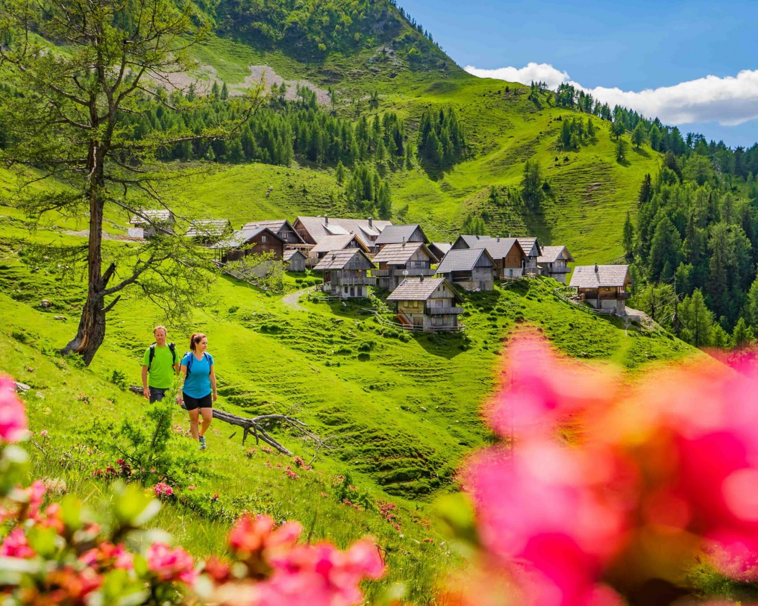 troepolacherhof-plus-card-holiday-4