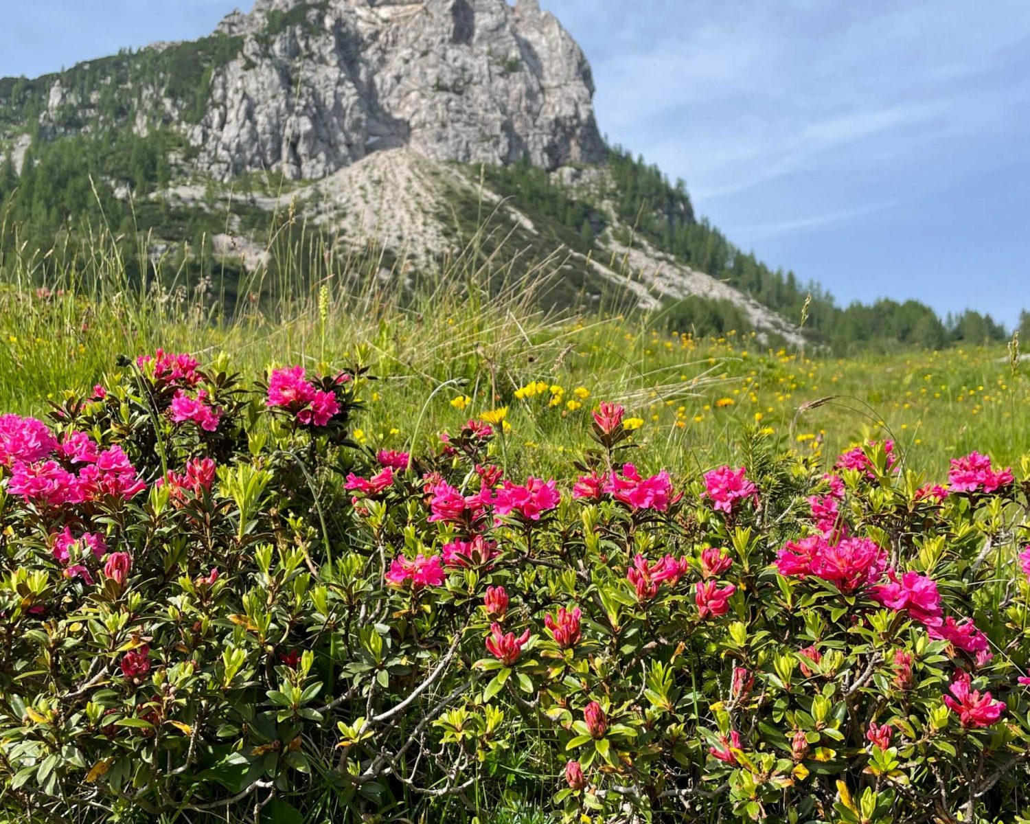 troepolacherhof-region-nassfeld-sommer-24