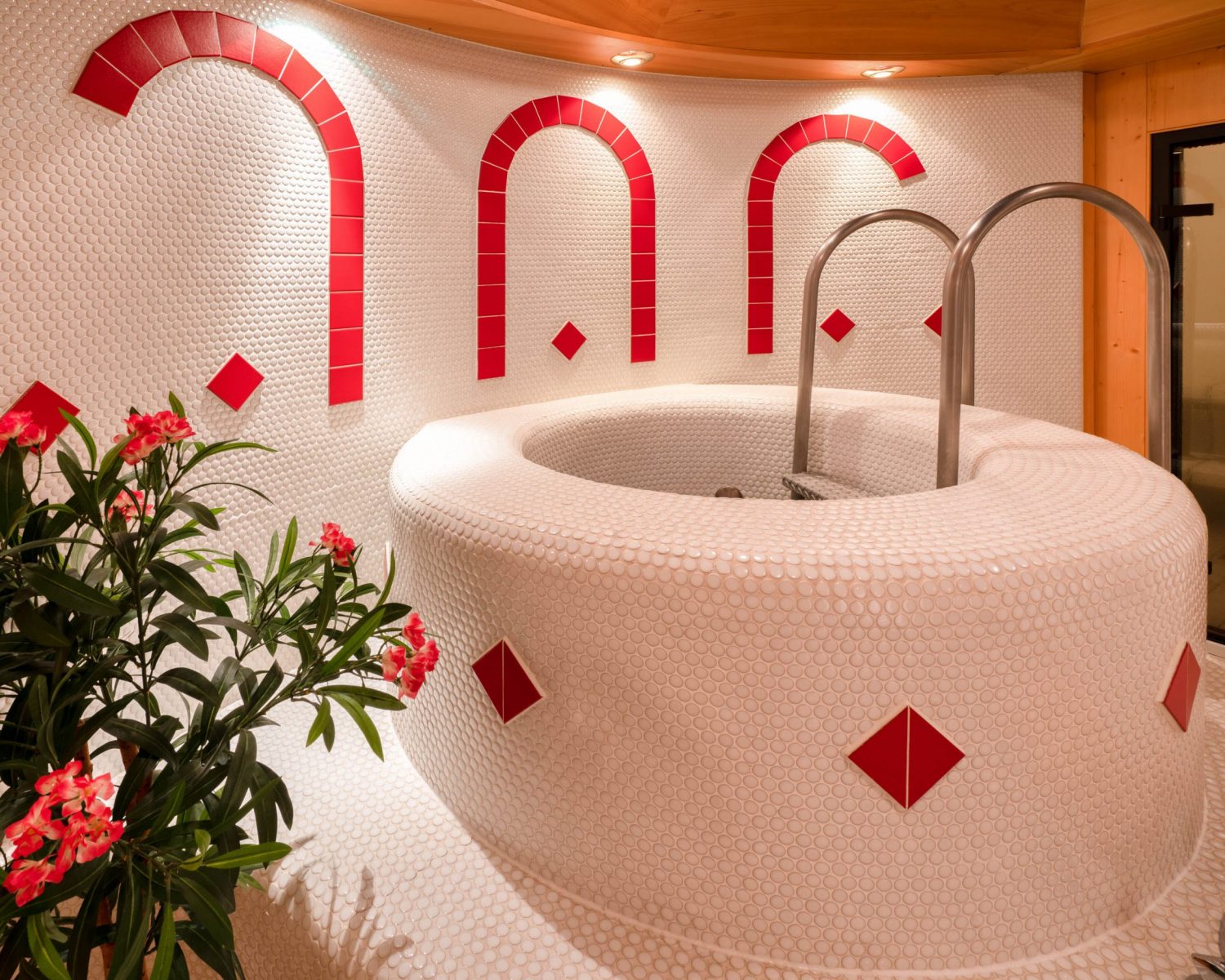 Tröpolacherhof Wellnessbereich Tauchbecken