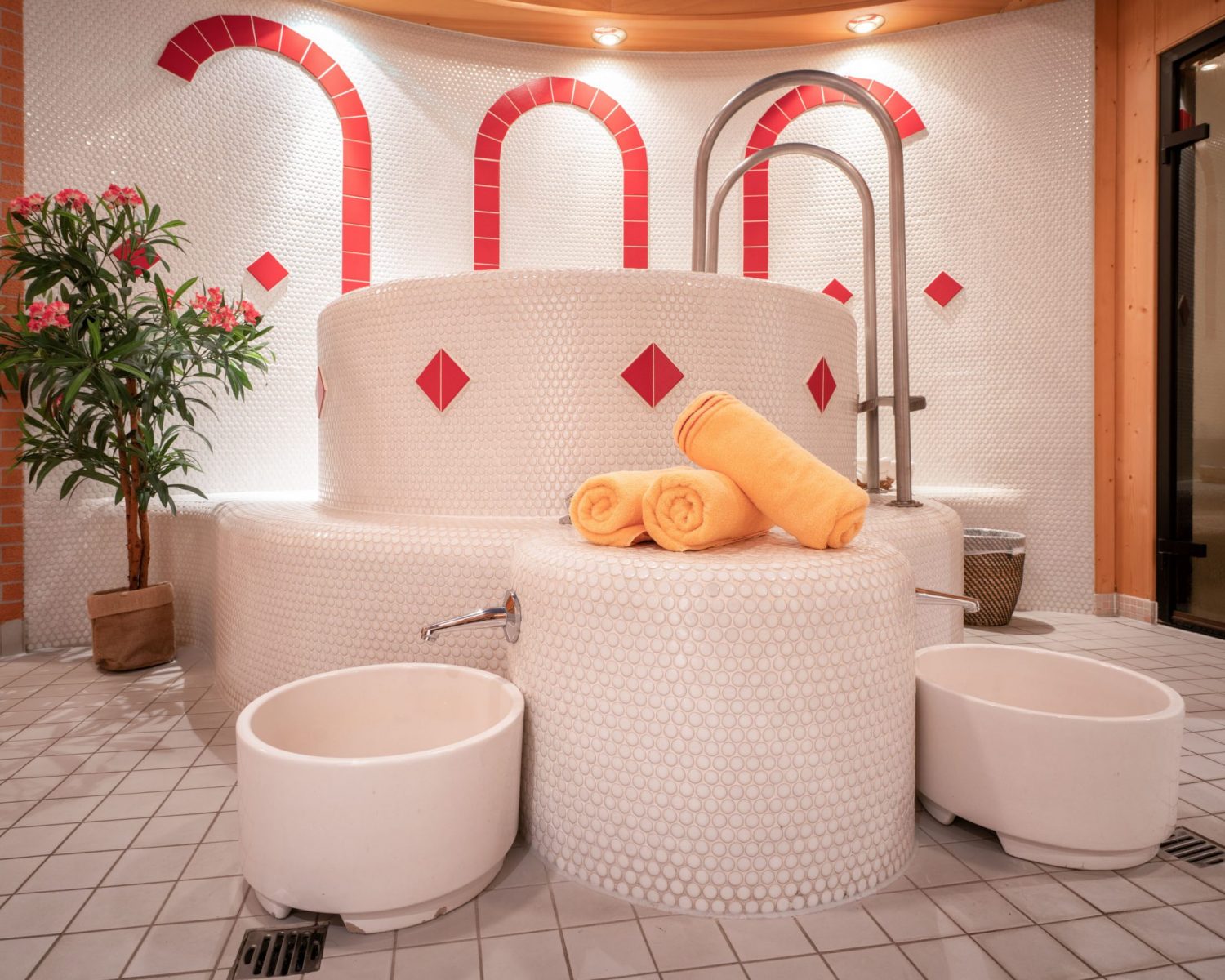 Tröpolacherhof Wellnessbereich Tauchbecken 2